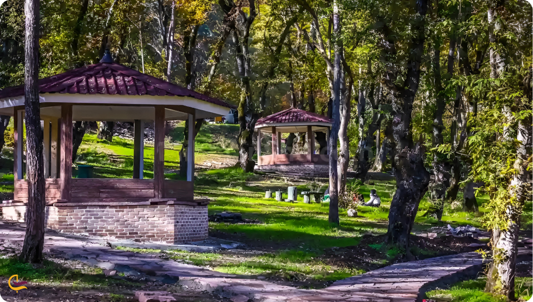پارک جنگلی سیسنگان نور
