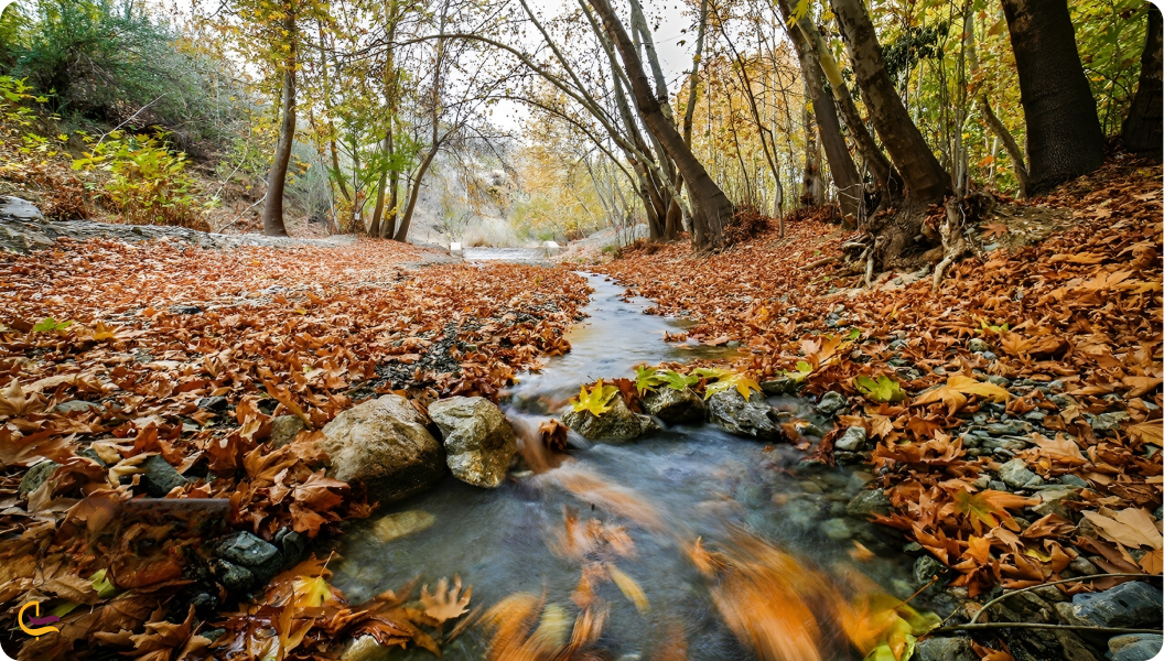 بهترین زمان سفر به نوشهر