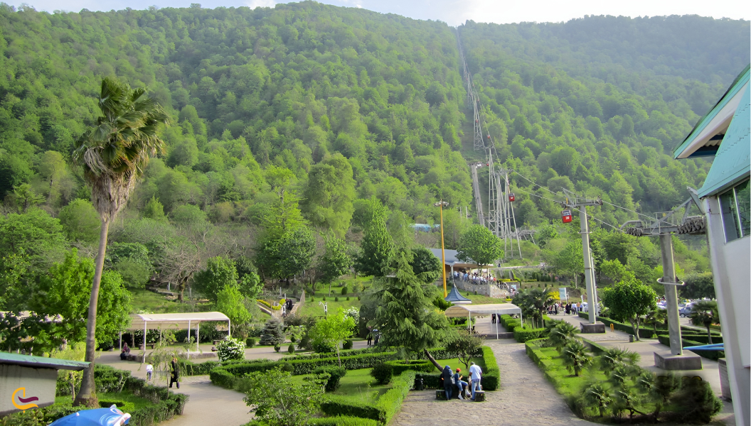 پوشش گیاهی نمک آبرود