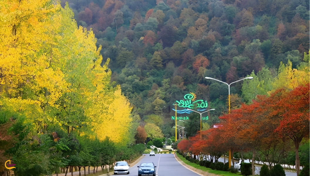 پوشش گیاهی و جانوری نمک آبرود