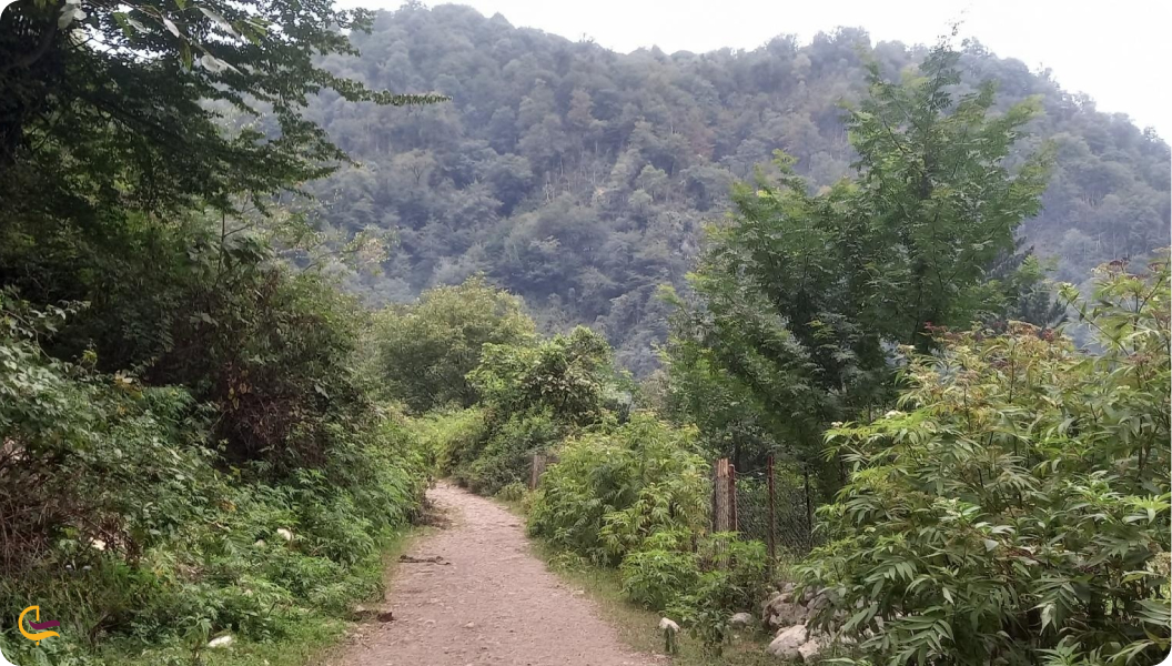 پارک جنگلی خرماچال عباس آباد مازندران