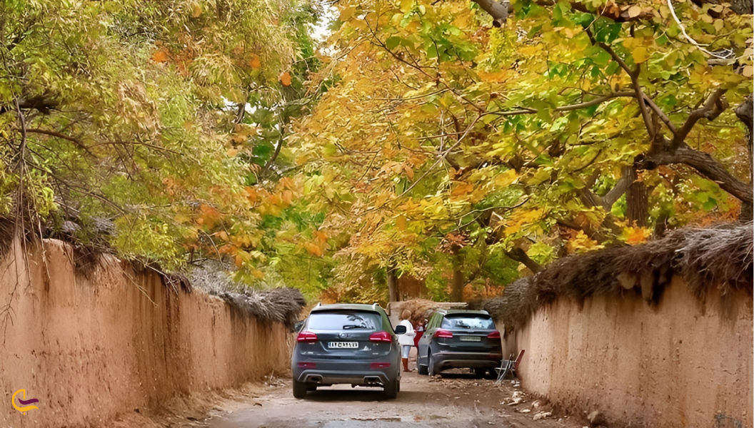 آب و هوای شیراز 