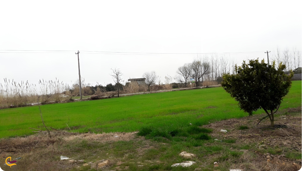 آب و هوای جویبار