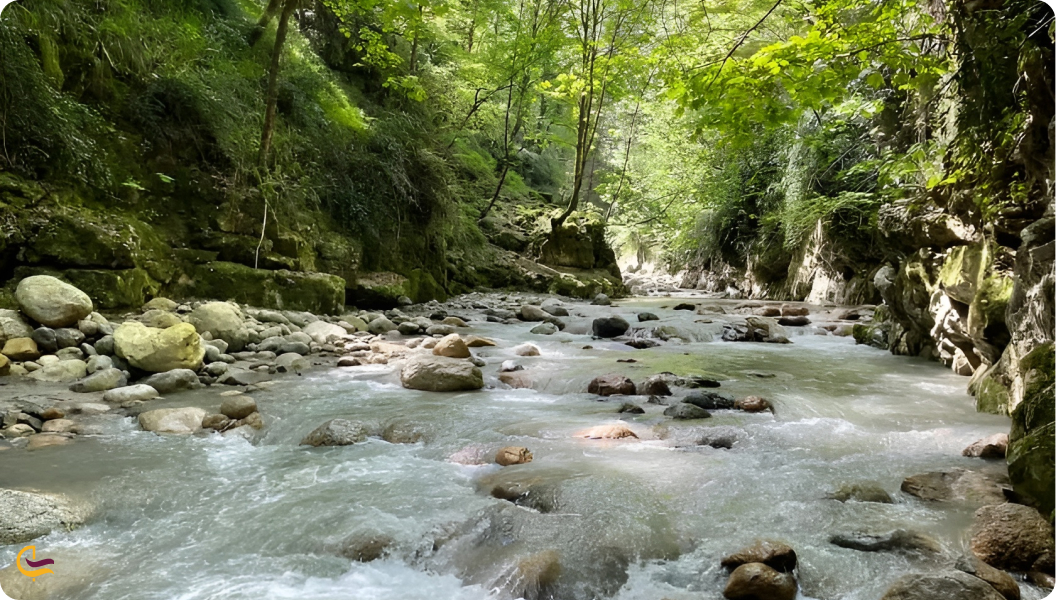 تنگ دار نوشهر 