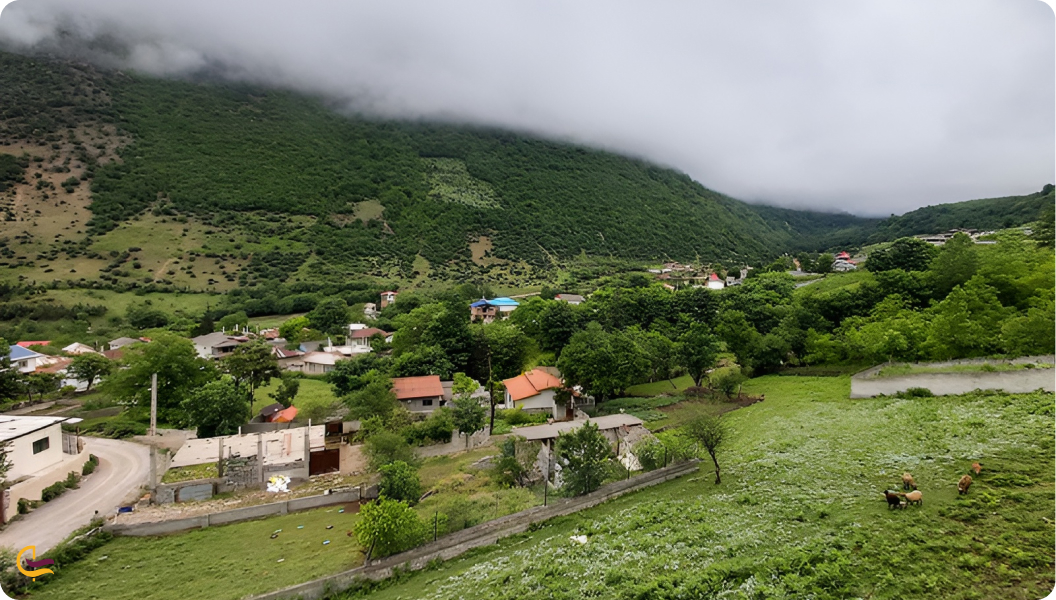 روستای لاویج نور 