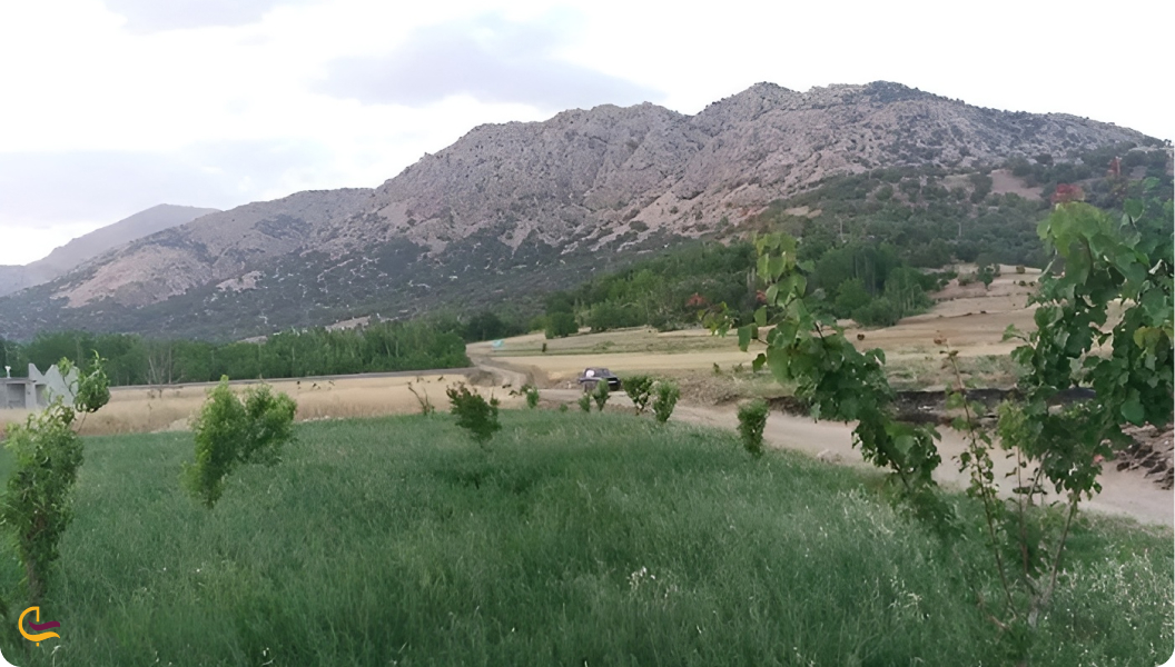 روستای علمده از جاهای دیدنی محمودآباد