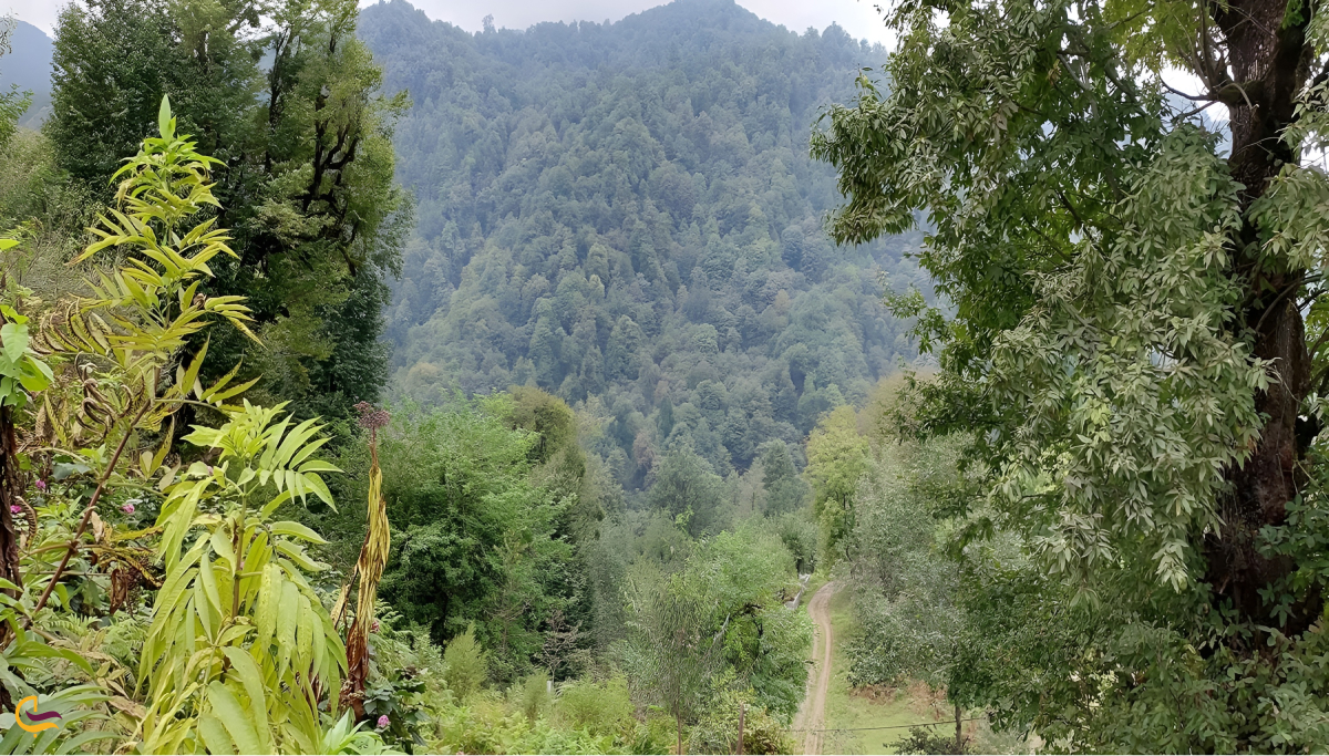 پارک جنگلی خشکه داران از جاهای دیدنی اطراف خرماچال