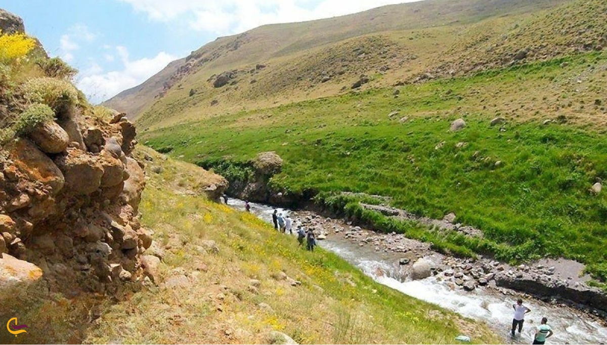 پوشش گیاهی ارومیه