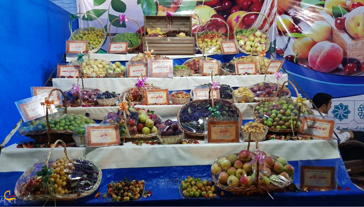 جشنواره میوه های تابستانی ارومیه