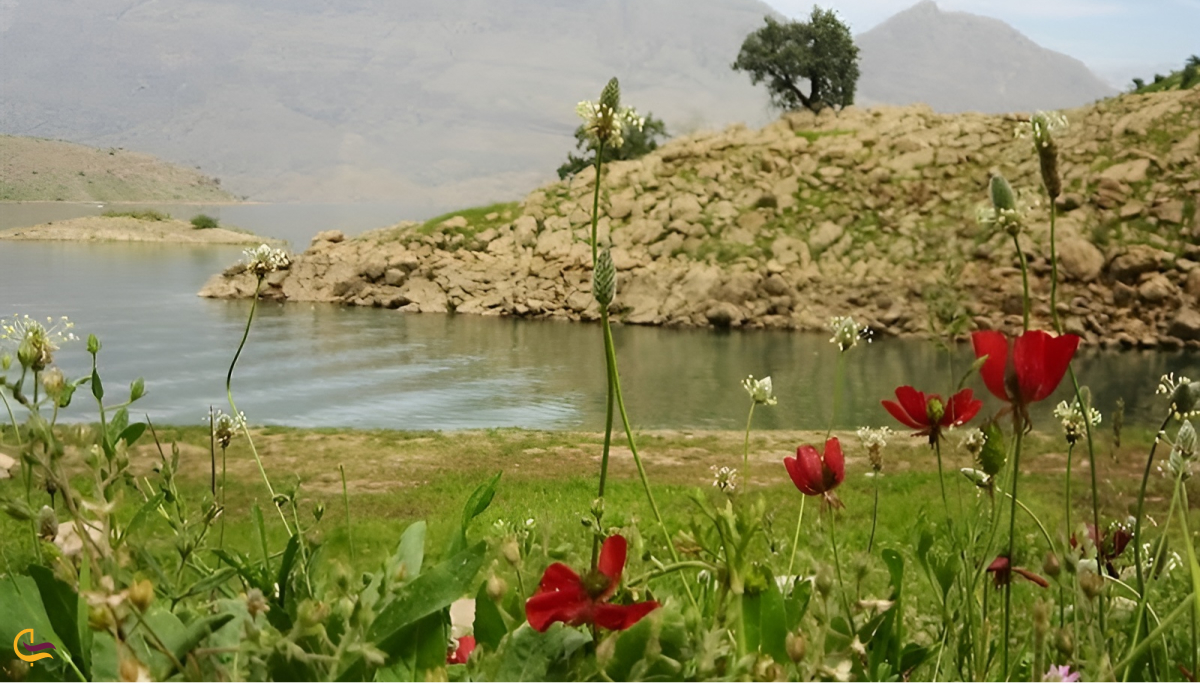 ییلاق سیلوانا