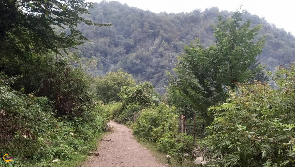 بوستان جنگلی خرماچال
