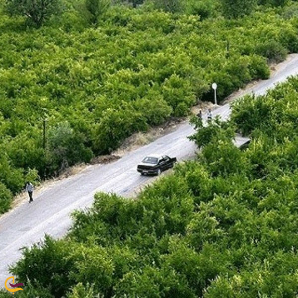 روستای دورک اناری شهرکرد