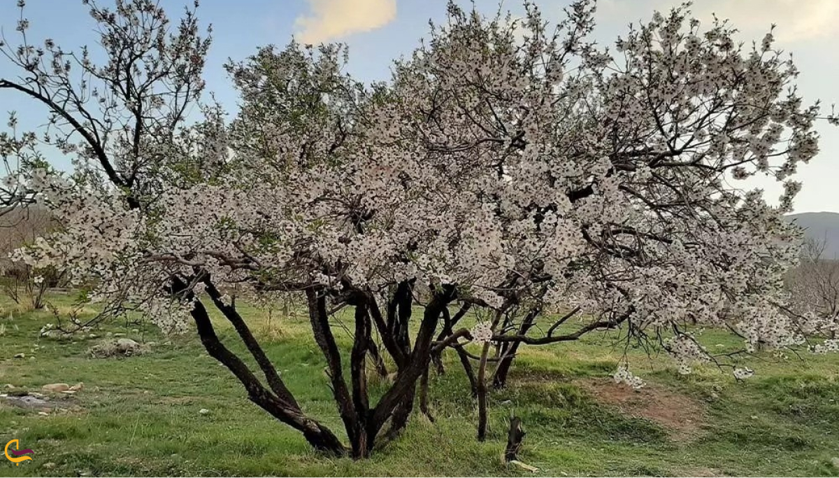 آب و هوای شهرکرد