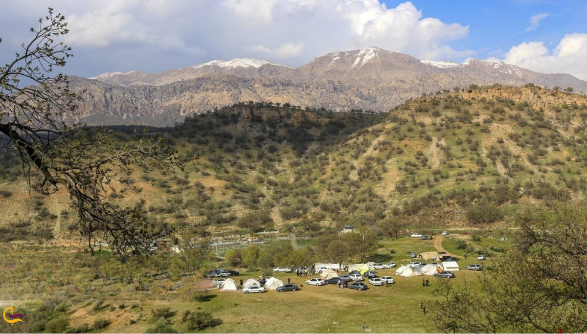 هزینه هیا سفر به یاسوج