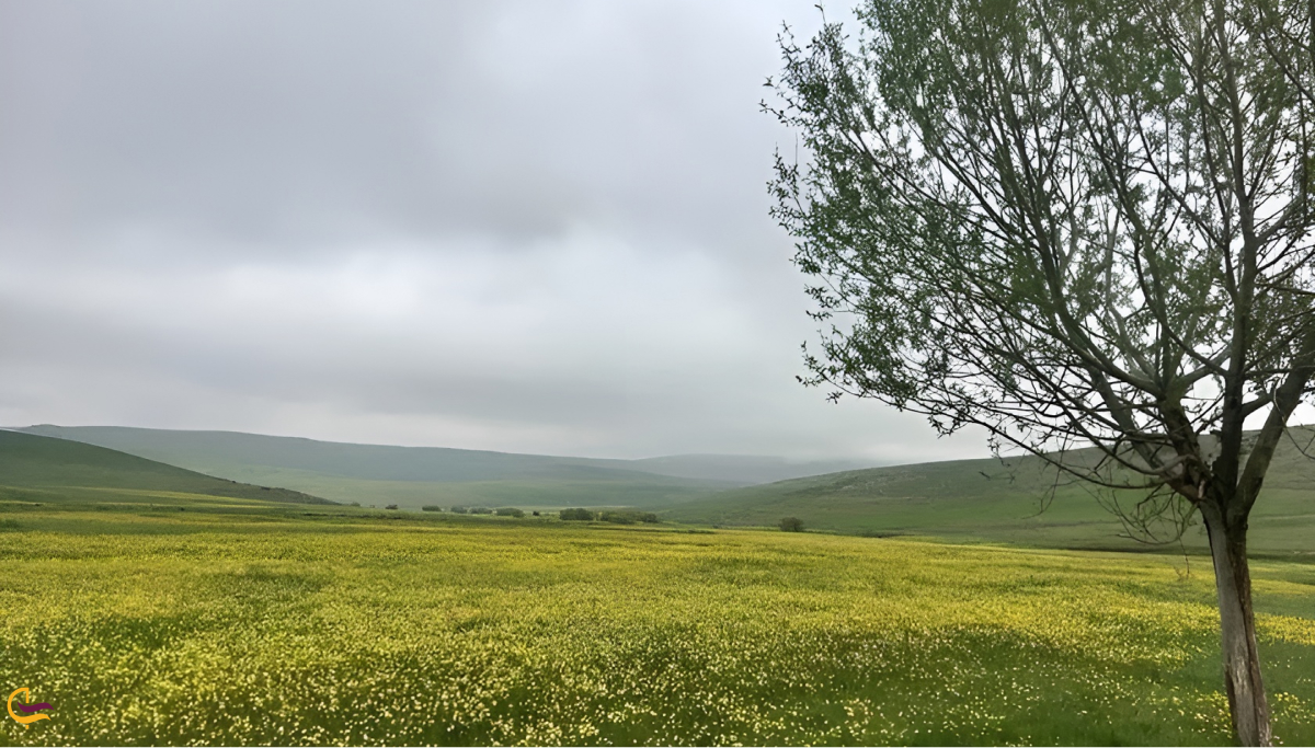 تفرجگاه بولاغلار