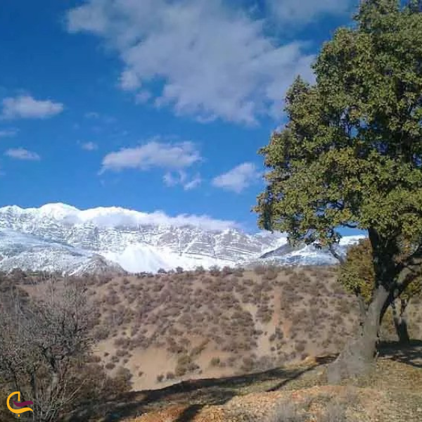 کوهستان پارک یاسوج