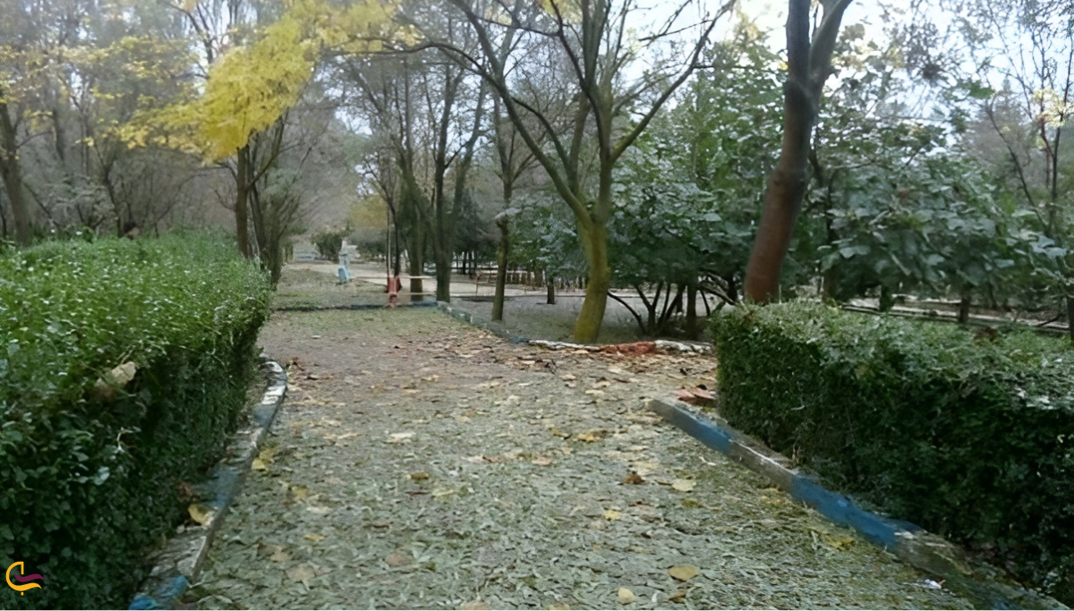 پارک جنگلی تپه نرگس اردبیل