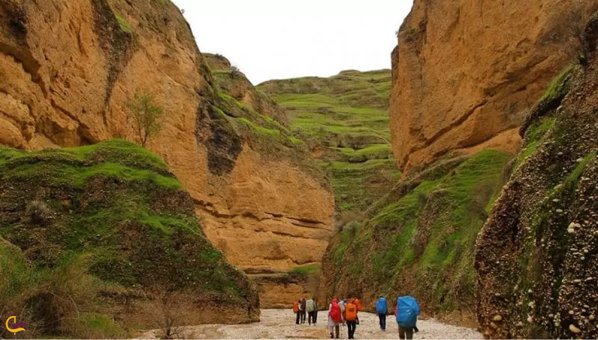 کول خرسون دزفول