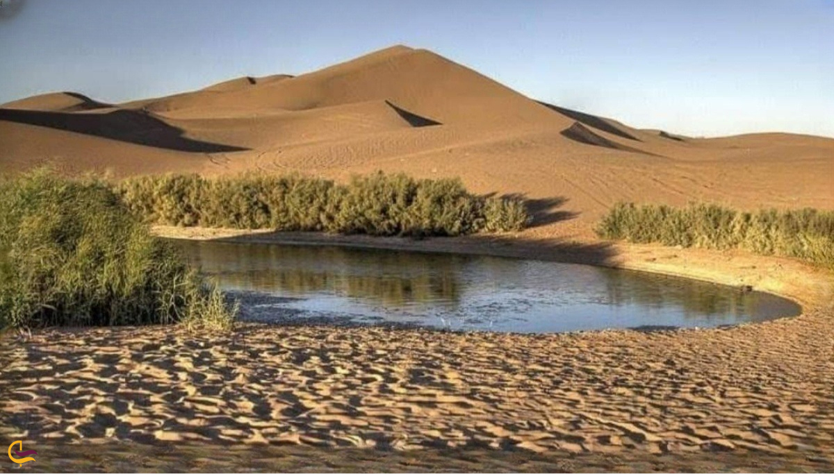 تالاب پساب یزد