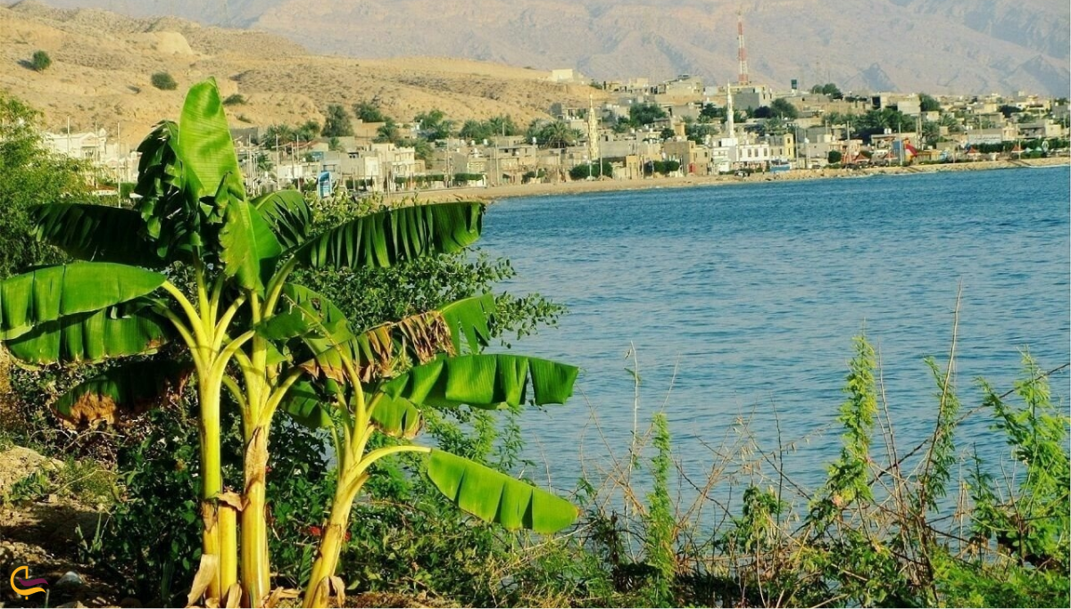جاهای دیدنی بندر سیراف بوشهر