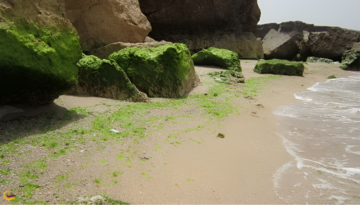 جزیره چراغی بوشهر