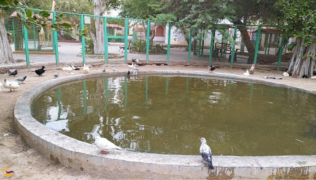 پارک پرندگان بوشهر